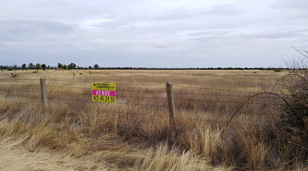 PARCELA RSTICA EN MORASVERDES (SALAMANCA)