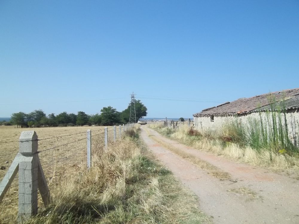 FINCA RUSTICA SECANO CON VIVIENDA Y DEPENDENCIAS