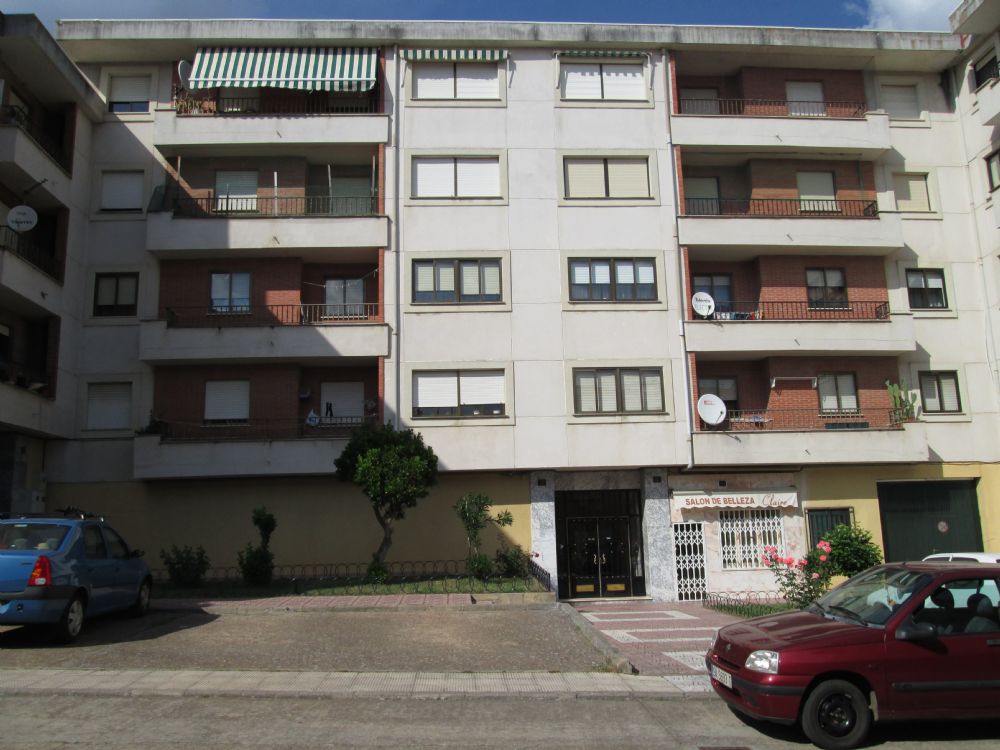 PISO VIVIENDA EN CALLE SANCHO IV (Zona Avenida Salamanca)