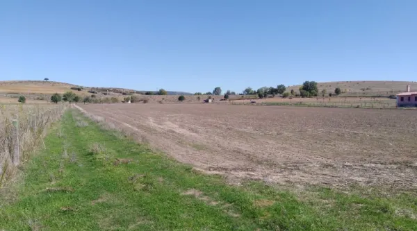 Finca en Ciudad Rodrigo en Carretera de Ivanrey - foto 4