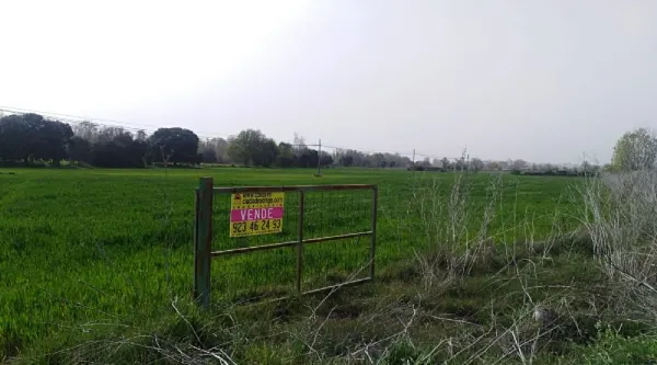 Parcela de Regadío en Ciudad Rodrigo - foto 1