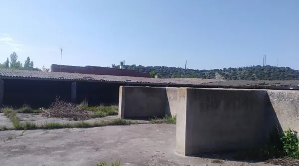 Parcela con Casa y Corrales en Ciudad Rodrigo - foto 13