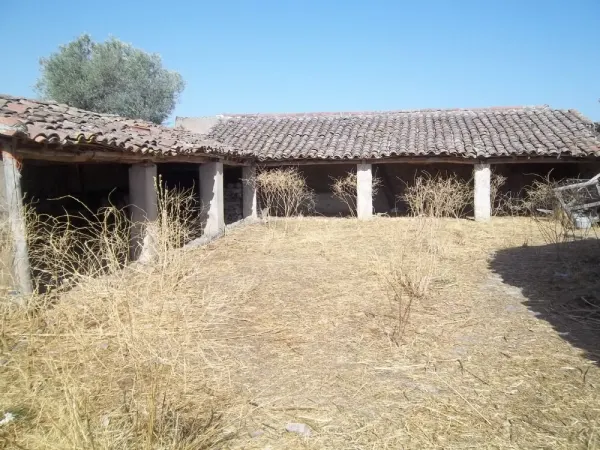 Finca Rustica Secano con Vivienda y Dependencias - foto 3