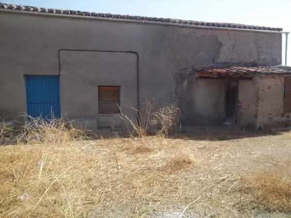 Finca Rustica Secano con Vivienda y Dependencias - foto 4