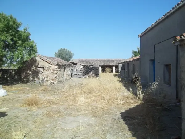 Finca Rustica Secano con Vivienda y Dependencias - foto 5