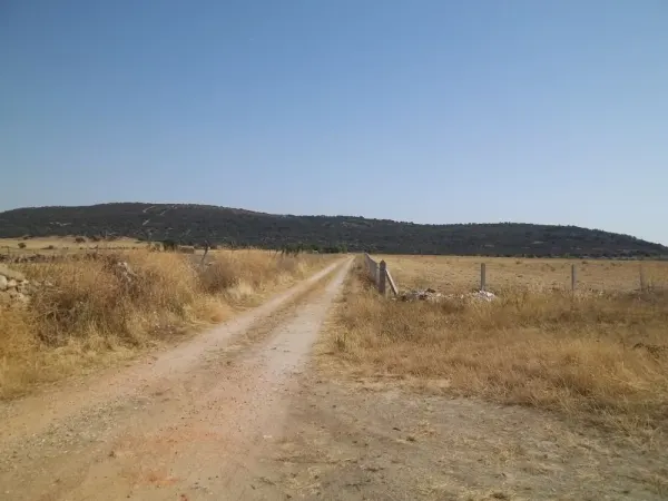 Finca Rustica Secano con Vivienda y Dependencias - foto 8