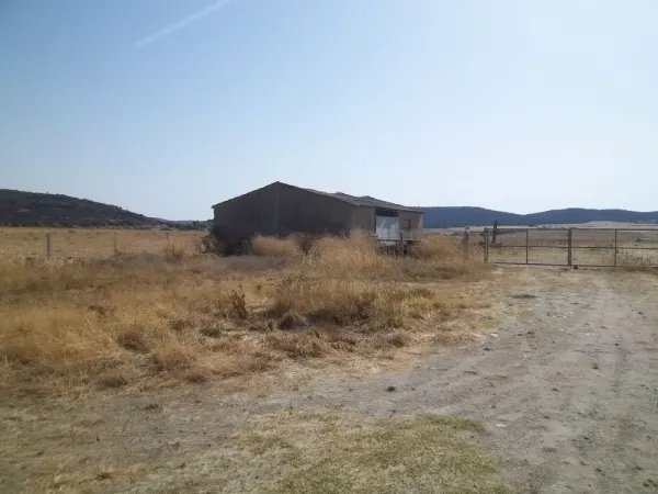 Finca Rustica Secano con Vivienda y Dependencias - foto 9
