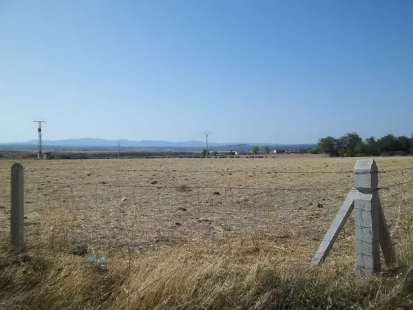 Finca Rustica Secano con Vivienda y Dependencias - foto 10