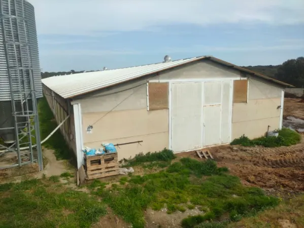 Granja de Pollos en Espeja (Salamanca) - foto 1