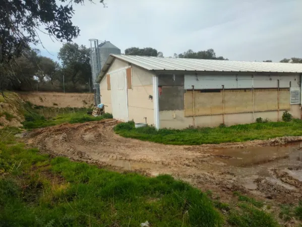 Granja de Pollos en Espeja (Salamanca) - foto 8
