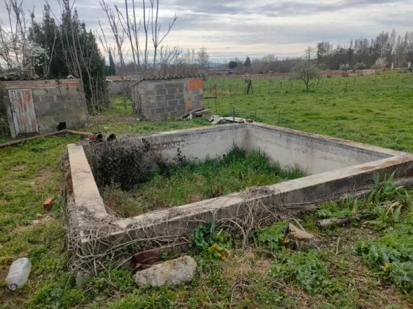 Parcela con Casa, Nave y Corrales en Ciudad - foto 7