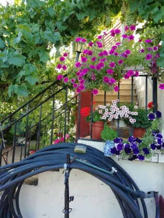 Chalet en Ciudad Rodrigo en Zona - foto 17