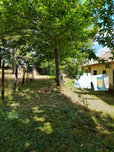 FINCA RÚSTICA MAS PARCELA URBANA CON CHALET EN NAVASFRIAS - foto 20