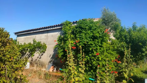 Huerta con Casa en Ciudad Rodrigo - foto 3