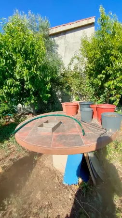 Huerta con Casa en Ciudad Rodrigo - foto 11