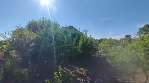 Huerta con Casa en Ciudad Rodrigo - foto 12