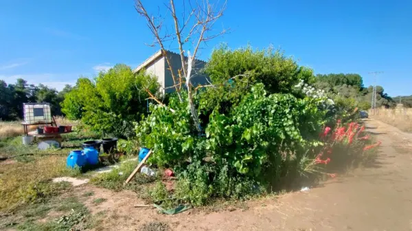 Huerta con Casa en Ciudad Rodrigo - foto 16